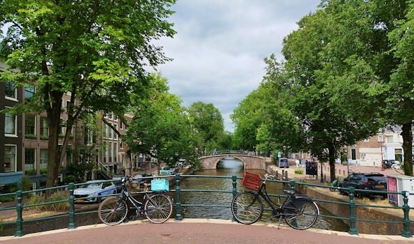 Amsterdam Bans Public Ads for Meat and Fossil Fuels in Bold Climate Move