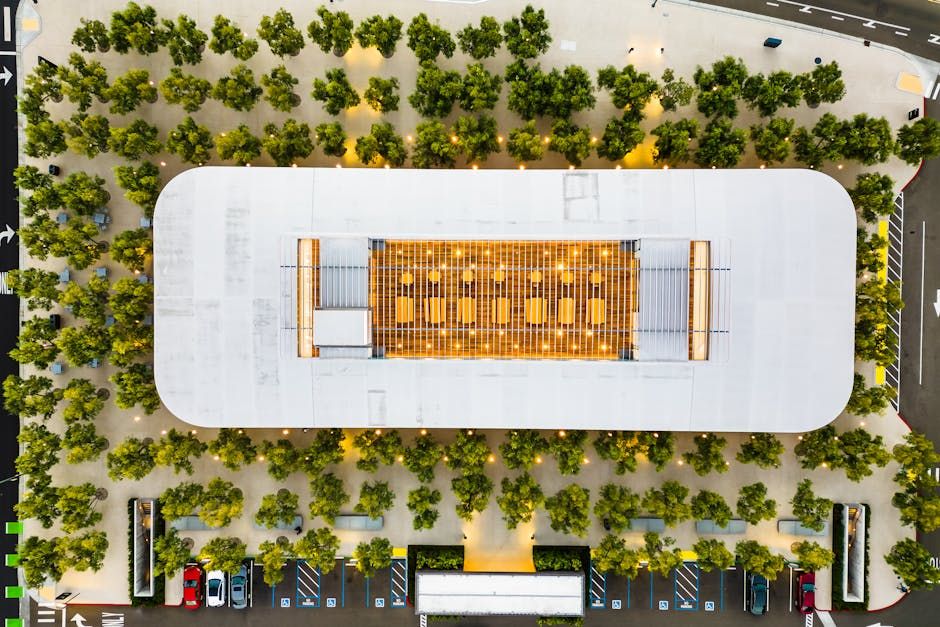 Apple's Next CEO John Ternus Faces a Minefield at the Top