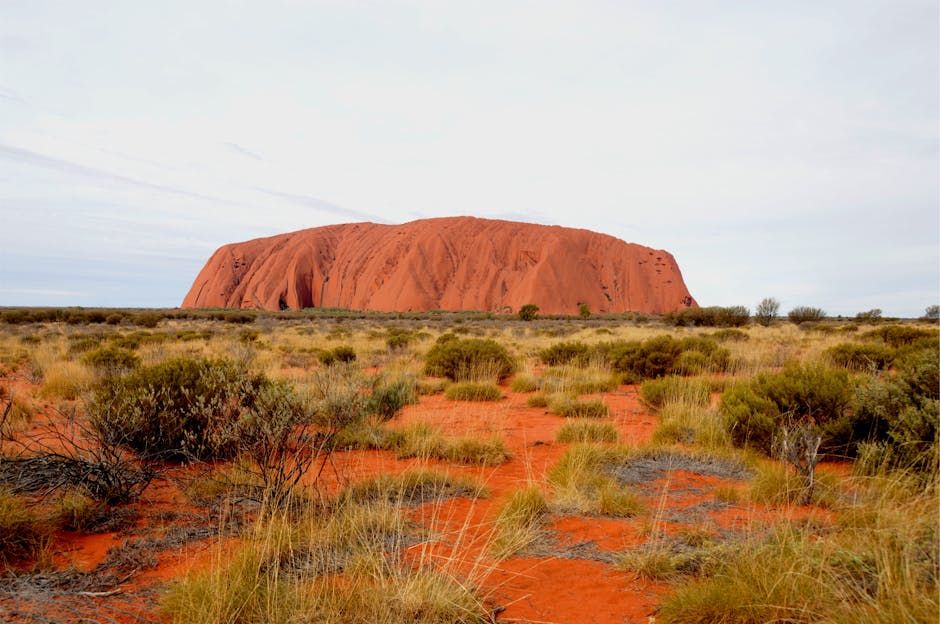 Man Charged With Murder of 5-Year-Old Girl in Central Australia