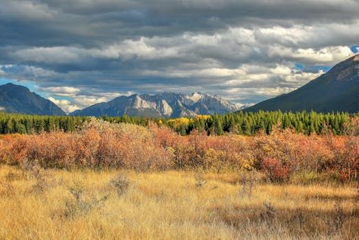 Most Albertans Want Leaders to Declare Their Separation Stance: Poll