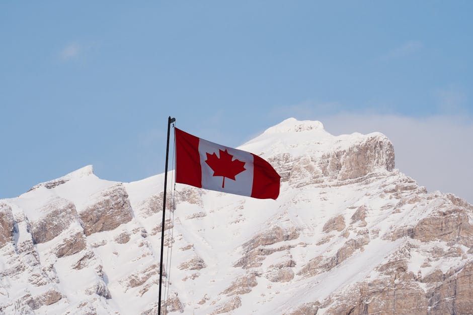 Fact Check: Did 700K Albertans Really Sign Separation Petitions?