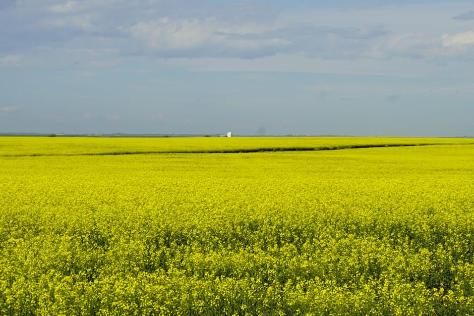 Alberta to Vote This Fall on Whether to Pursue Separation from Canada