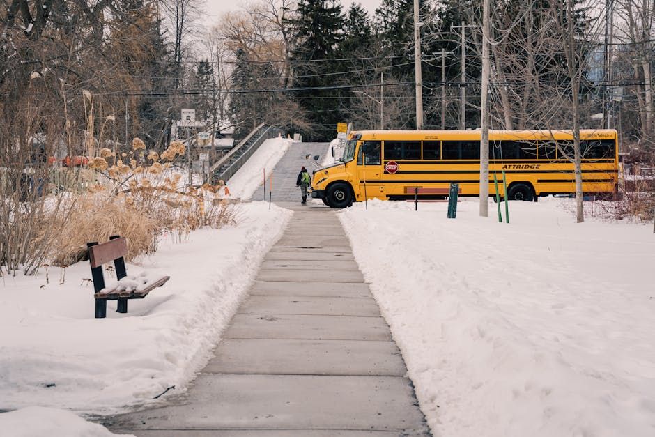Alberta Students Getting Rabies Treatment After Bat Found on School Bus