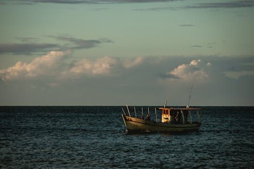 Atlantic Cod Stocks Keep Declining Off N.S. and N.B. Coasts