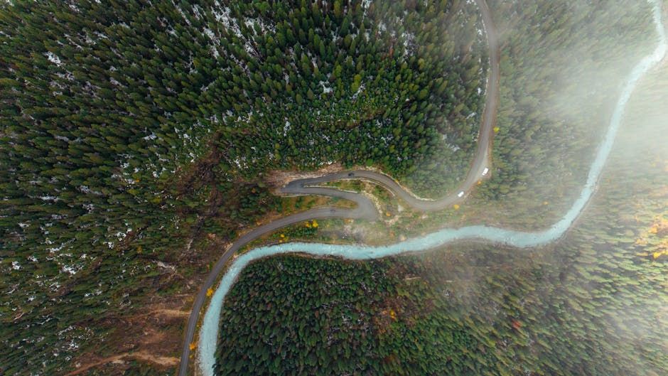 B.C. Man Rescued After 2 Days Trapped Upside-Down in Remote Forest