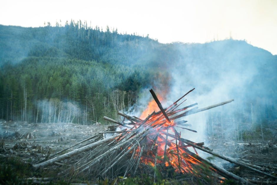 U.S. Man Loses Appeal of $2.35M Fine for B.C. Wildfire He Likely Started