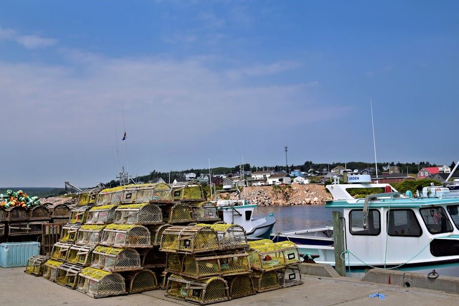 The $500M Cape Breton Drug Bust That's Now a Feature Film