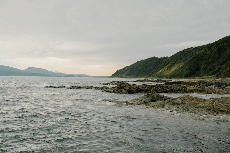 Cascadia Seaweed Is Building a Biorefinery That Could Change B.C. Agriculture