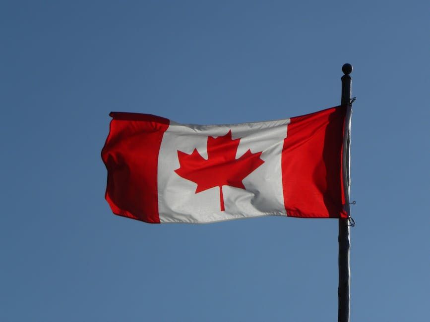 Ottawa Pushes to Open Chinese E-Commerce Platforms for Canadian Businesses