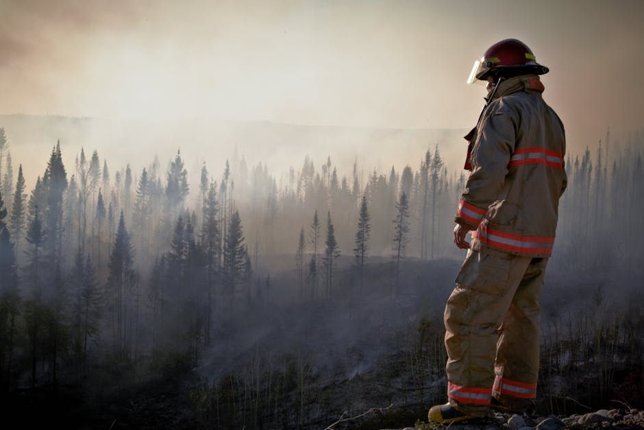 'Build from the ashes': Fort McMurray reflects on how community has changed since 2016 wildfire