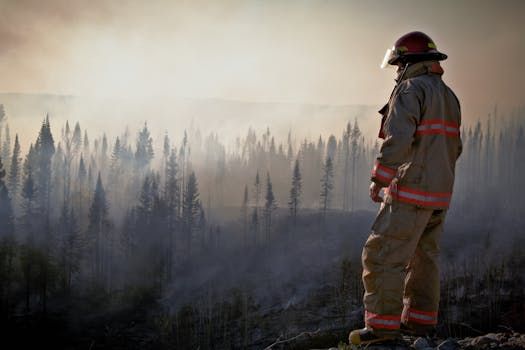 'Build from the ashes': Fort McMurray reflects on how community has changed since 2016 wildfire