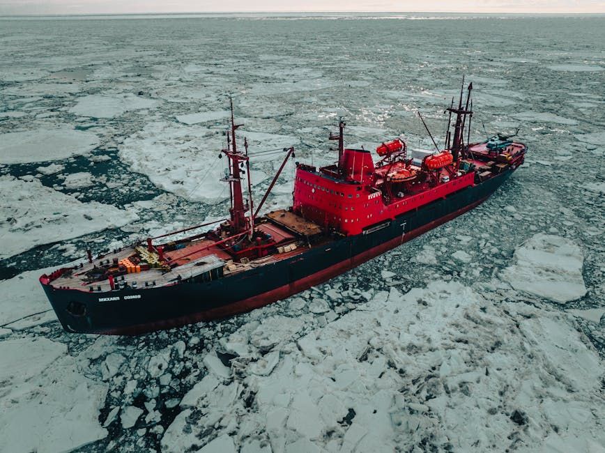 4 More Sailors From Canada's Lost 1845 Franklin Expedition Finally Named
