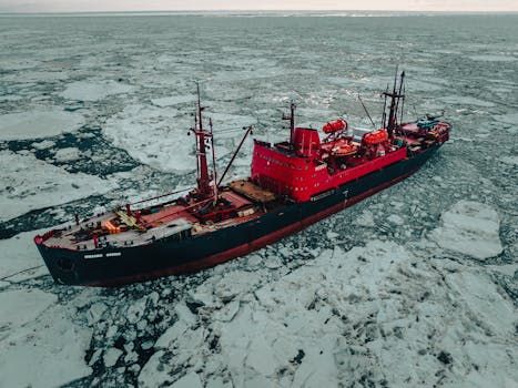 4 More Sailors From Canada's Lost 1845 Franklin Expedition Finally Named