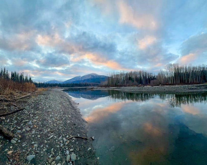 First Nations Step Up Efforts to Shut Down Dryden Paper Mill Over Mercury Contamination