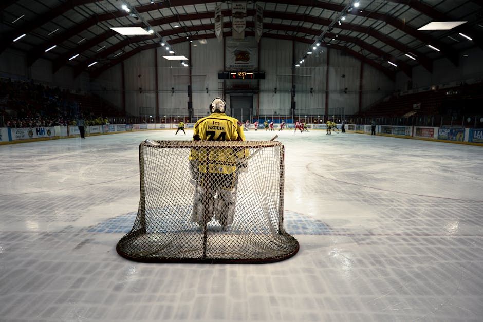 Hamilton's New AHL Team Has a Name: Meet the Hammers
