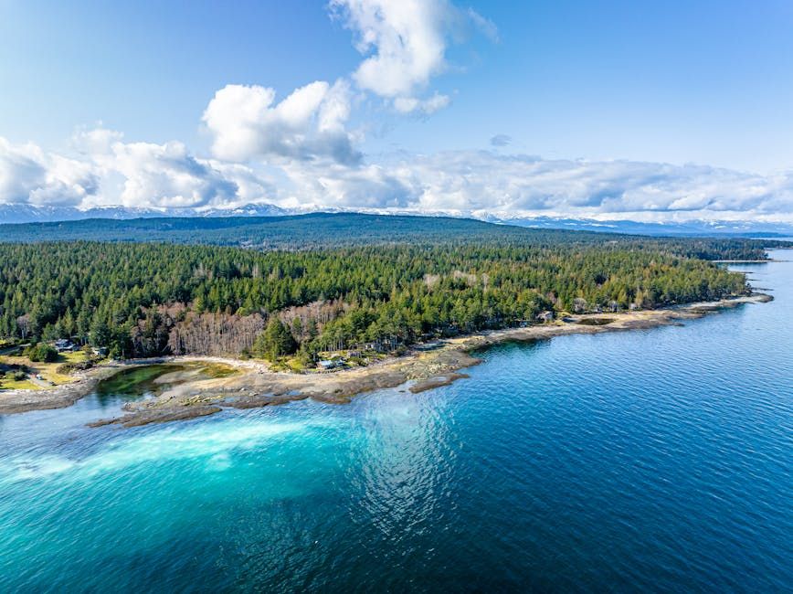 4 Canadians Isolating for Hantavirus After Victoria Trip