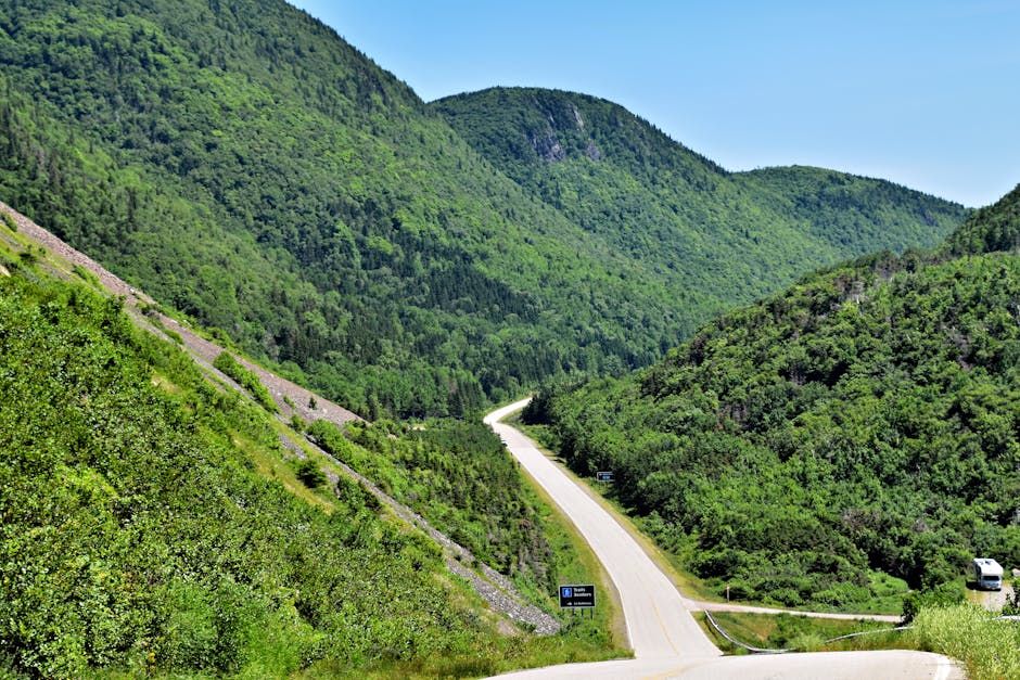 Nova Scotia Scientists Are Breeding Bugs to Fight a Tree-Killing Pest