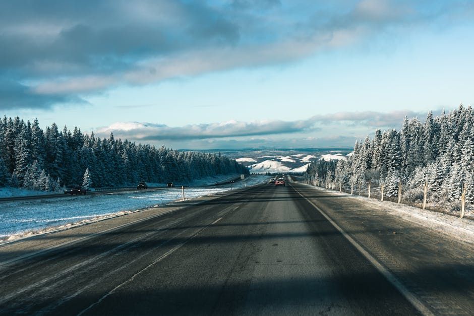 Albertans Call for Answers After Being Stranded on Northern Highway During Snow Storm