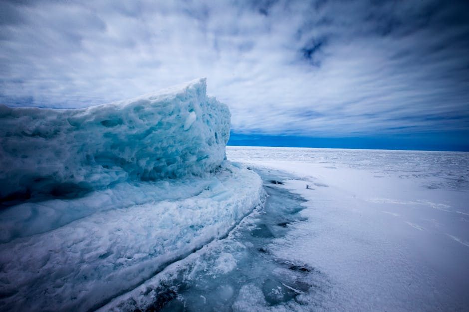 How Inuit Youth and Researchers Are Bridging Traditional Knowledge and Science