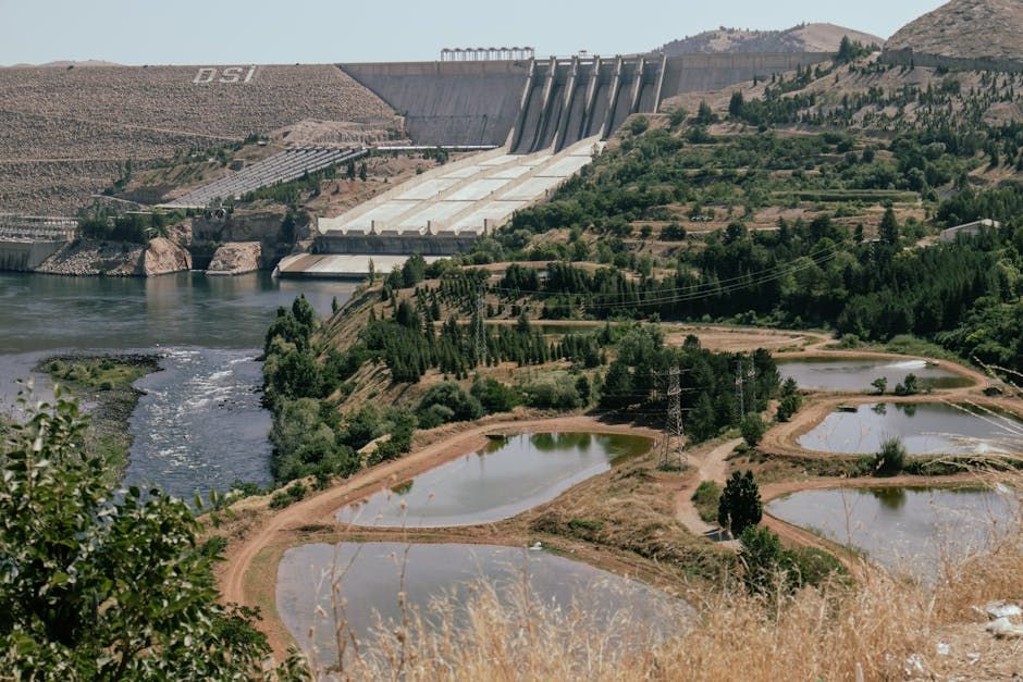Millions More Fish Reach Spawning Grounds After Mactaquac Dam Change
