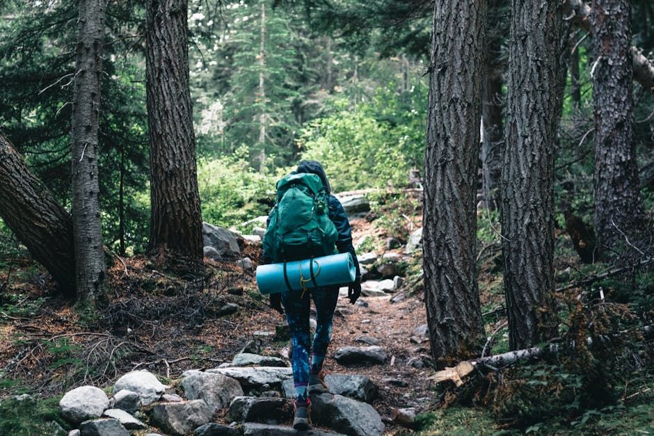 Manitoba's Mantario Trail Set to Reopen in Late June After Wildfire Recovery