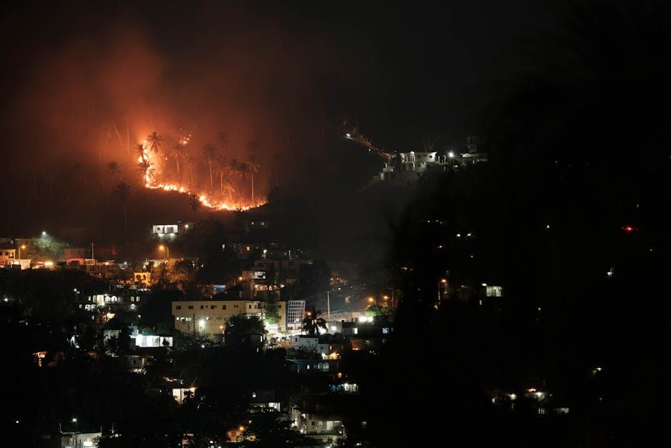 Brush Fire Breaks Out Near Maple Ridge, B.C. Forest