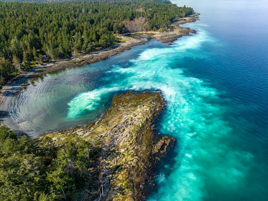 Canada Creates Massive New Marine Reserve on B.C.'s Central Coast