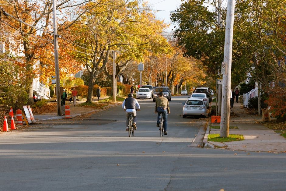 Search Underway for Missing Newborn in Halifax's Clayton Park