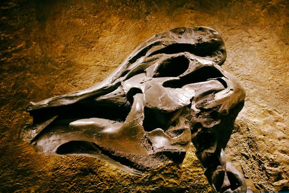 Neanderthals Were Doing Dentistry 59,000 Years Ago — No Freezing Required