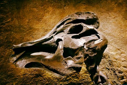 Neanderthals Were Doing Dentistry 59,000 Years Ago — No Freezing Required
