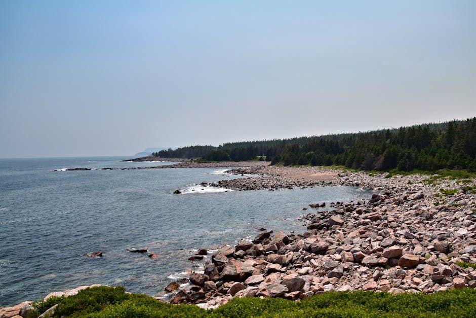 Two Held in Custody After Newborn Found Dead Near Halifax