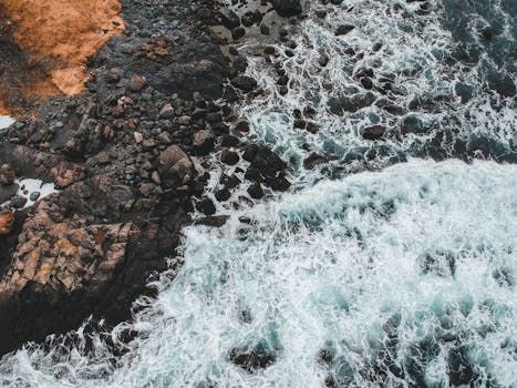 Ocean Meets Orchard: N.L. Cidery Ages Drinks Beneath the Waves