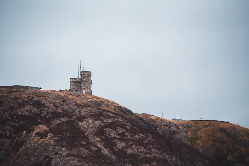 N.L. MHA Says He 'Accidentally' Shared Post Calling for Liberals to Get a 'Shit Knocking'