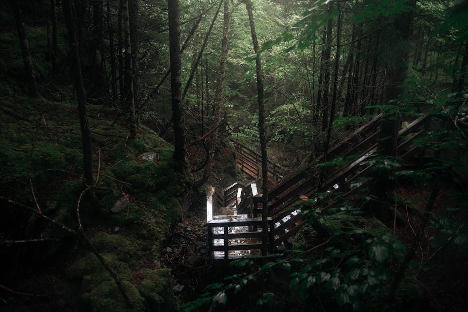 Nova Scotia's Blackfly Boom Has a Surprising Silver Lining