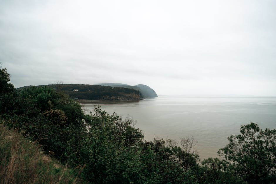 Nova Scotia's Abandoned Theme Park Is Looking for a New Life