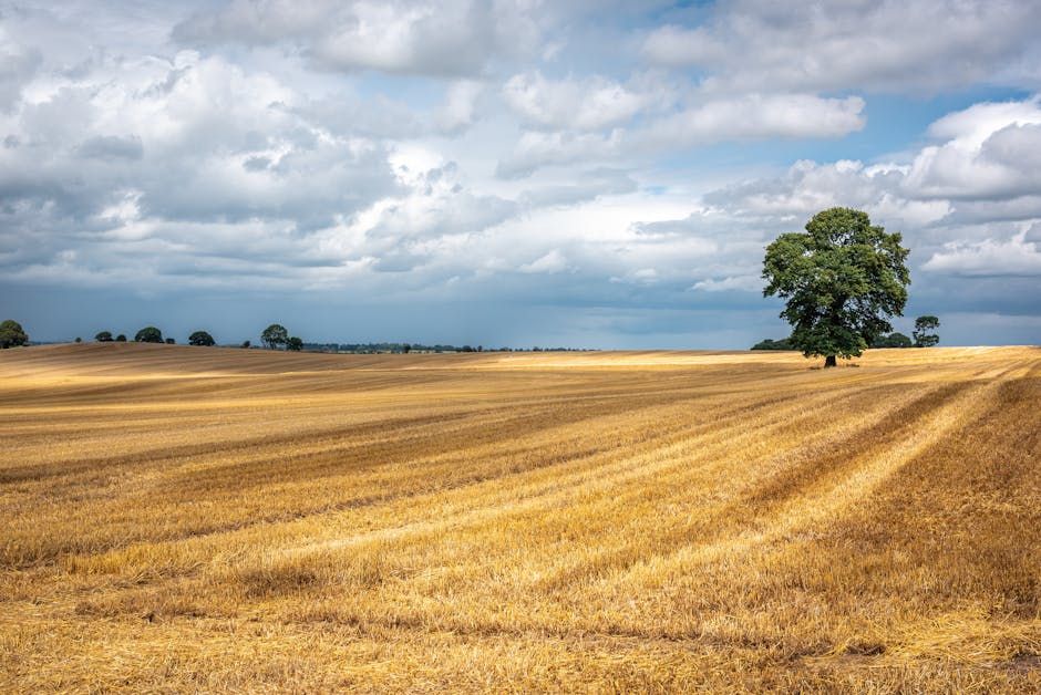 'Omega Block' Trapping Prairies in Heat: What Is This Weather Phenomenon?