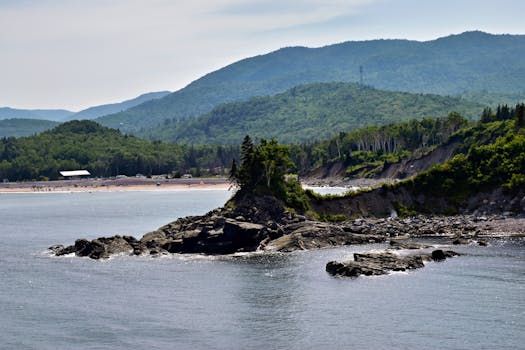 Parks Canada Fights to Save Rare Coastal Plant in N.B. and P.E.I.