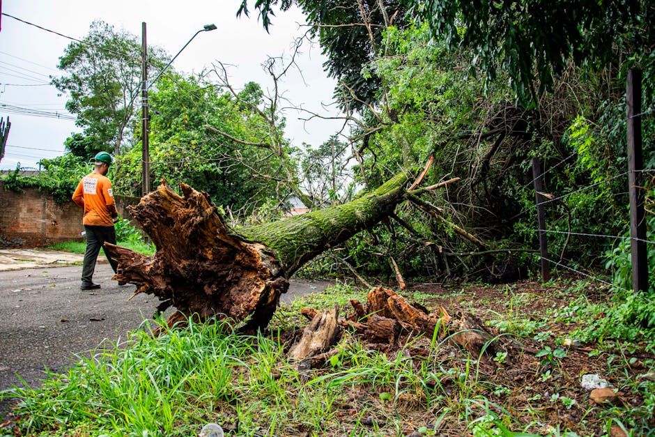 Cleanup Underway After Severe Storms Pound Southwestern Ontario