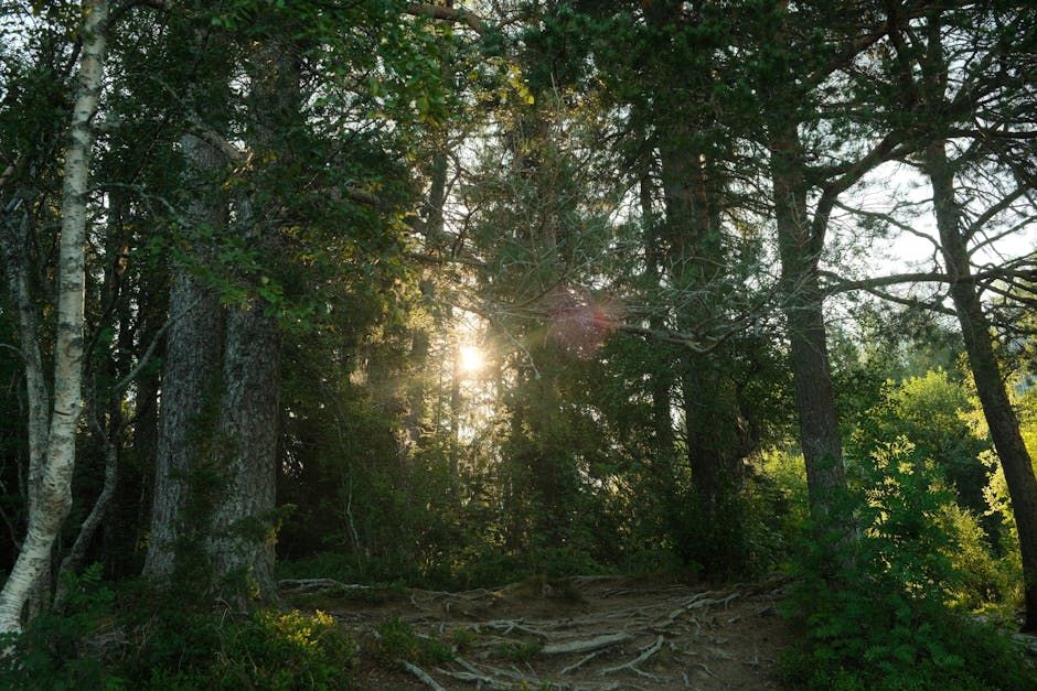 Could 'Thrutopia' Sci-Fi Be the Climate Story We Actually Need?