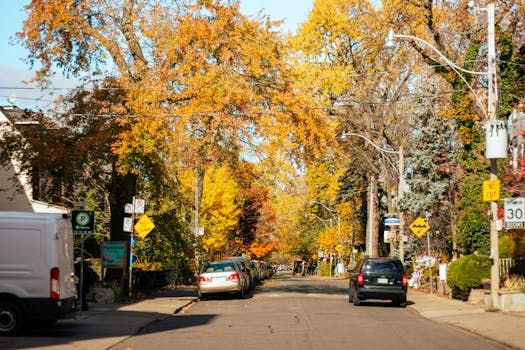 Toronto Residents Demand Action After Trucks Keep Ripping Down Telecom Lines