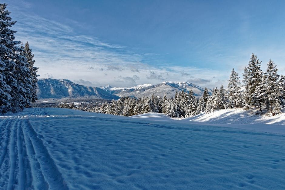 Investigation into Tumbler Ridge Mass Shooting Has Entered Final Stages, B.C. Premier Says