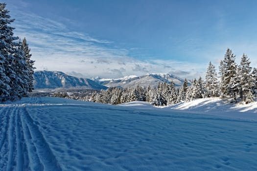 Investigation into Tumbler Ridge Mass Shooting Has Entered Final Stages, B.C. Premier Says