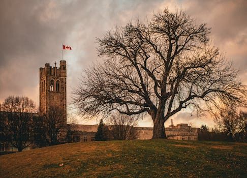 Former Woodstock Mayor Gets Nearly 5 Years for Sexual Assault
