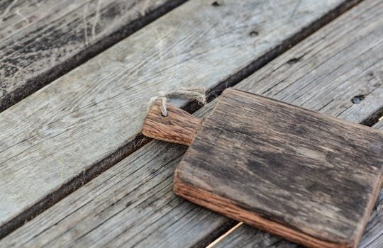 In the novel Yesteryear, a modern tradwife influencer must survive in the 1800s
