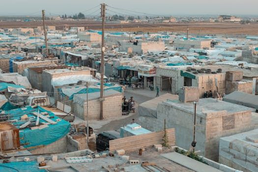 Rats and Weasels Overrun Displaced Gaza Camps as Pest Crisis Deepens