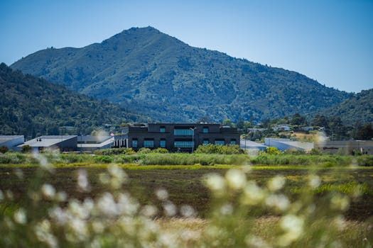 Google Hits 350M Paid Subscriptions in Q1, Fueled by YouTube and Google One