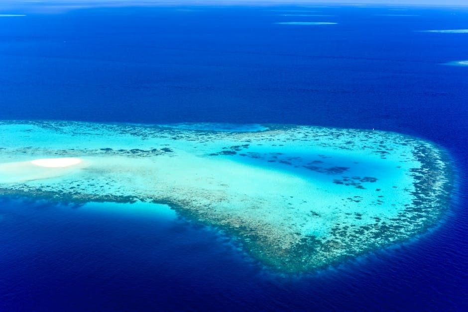 Bodies of All Five Missing Italian Divers Found in Maldives