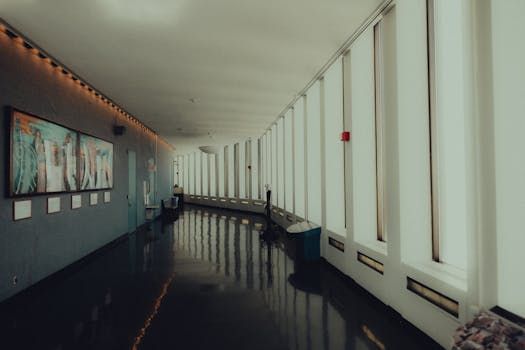 Ottawa Art Gallery Is Making Downtown More Than Just a Place to Walk Through