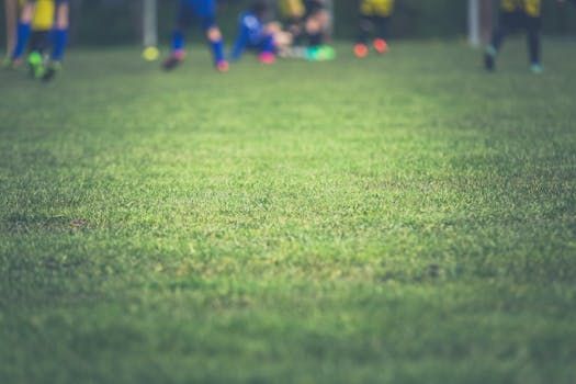 Ottawa Siblings Launch Bookd App to Connect Soccer Fans Online