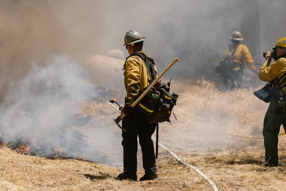 Brush Fires Break Out Along Hwy. 417, OPP and Ottawa Firefighters Respond